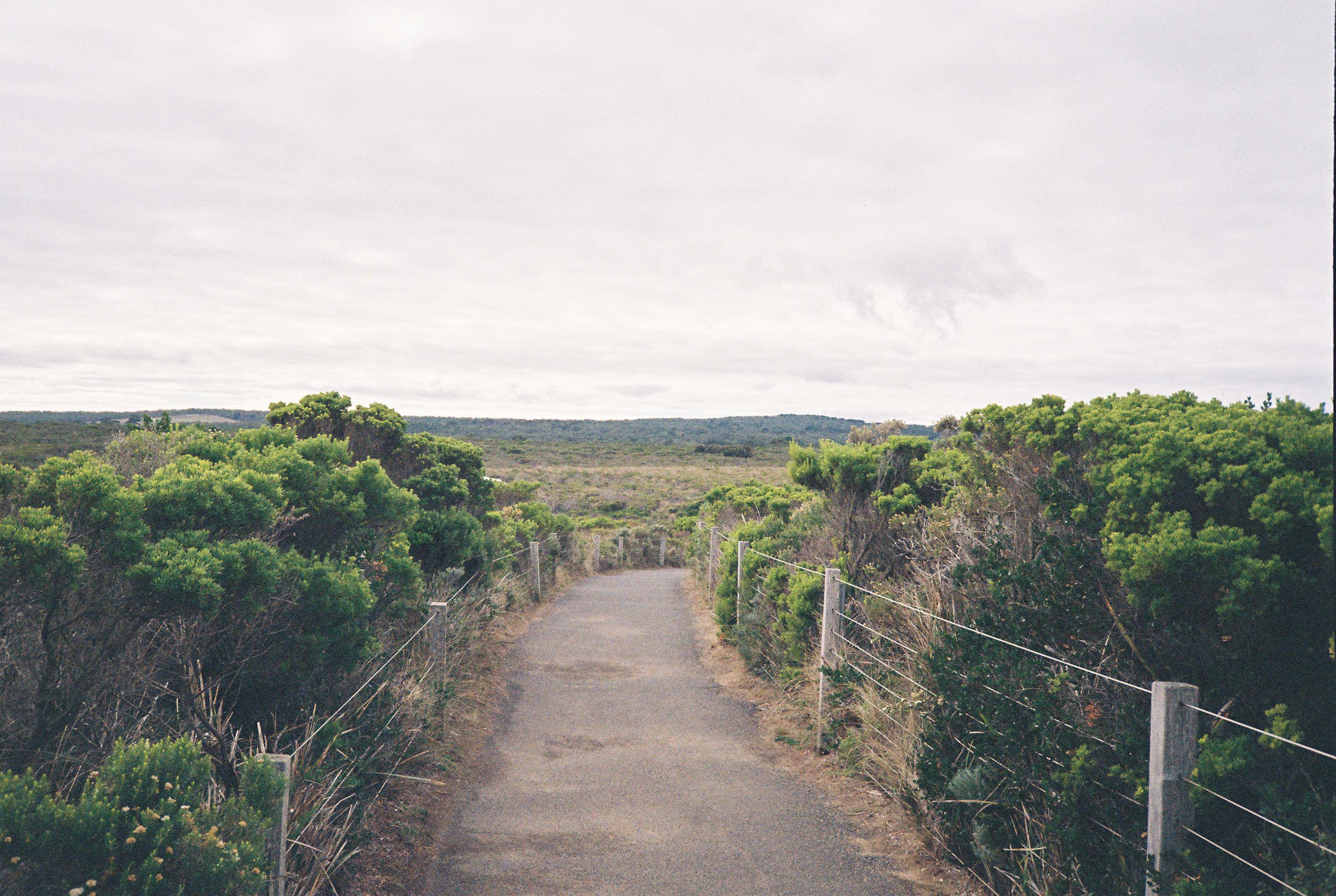 Path